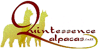 Quintessence Alpacas